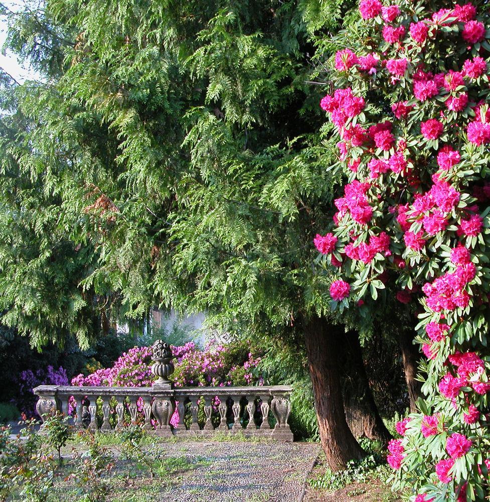 Du Parc Hotel Lake Maggiore Exterior photo
