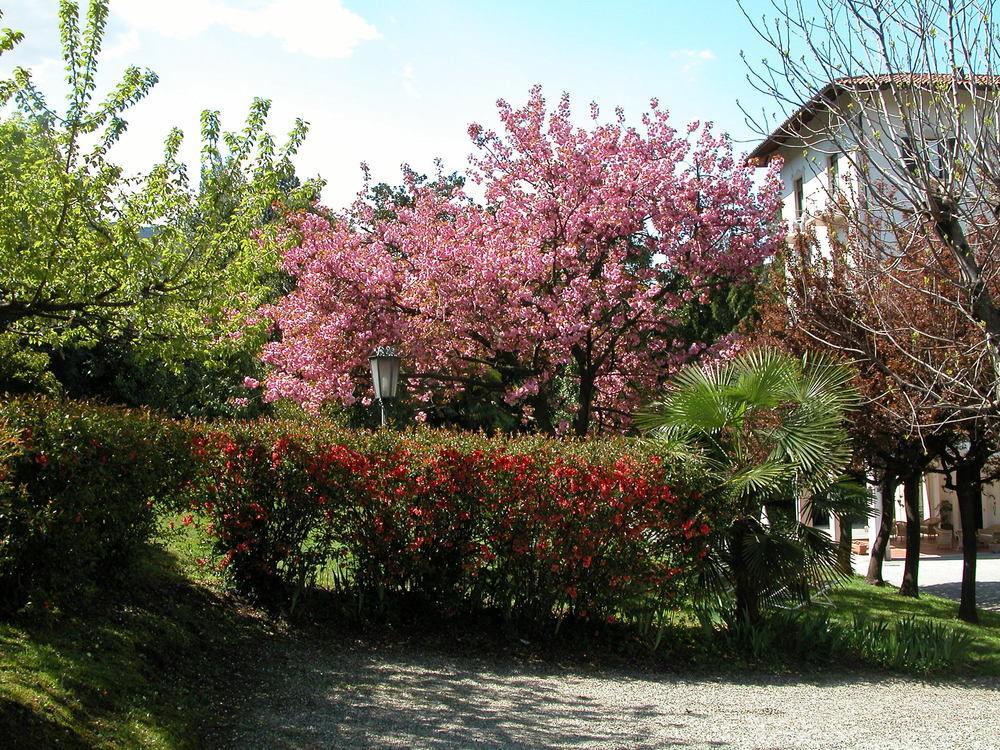 Du Parc Hotel Lake Maggiore Exterior photo
