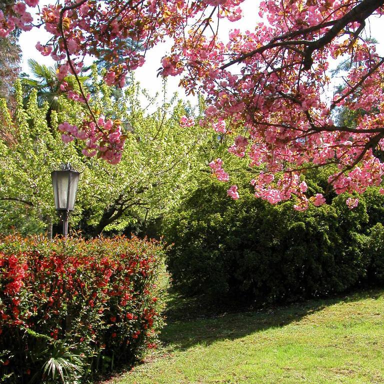 Du Parc Hotel Lake Maggiore Exterior photo